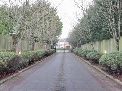 Picture 26